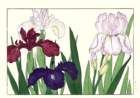 32 photo32_small.jpg